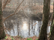 A film about noticing